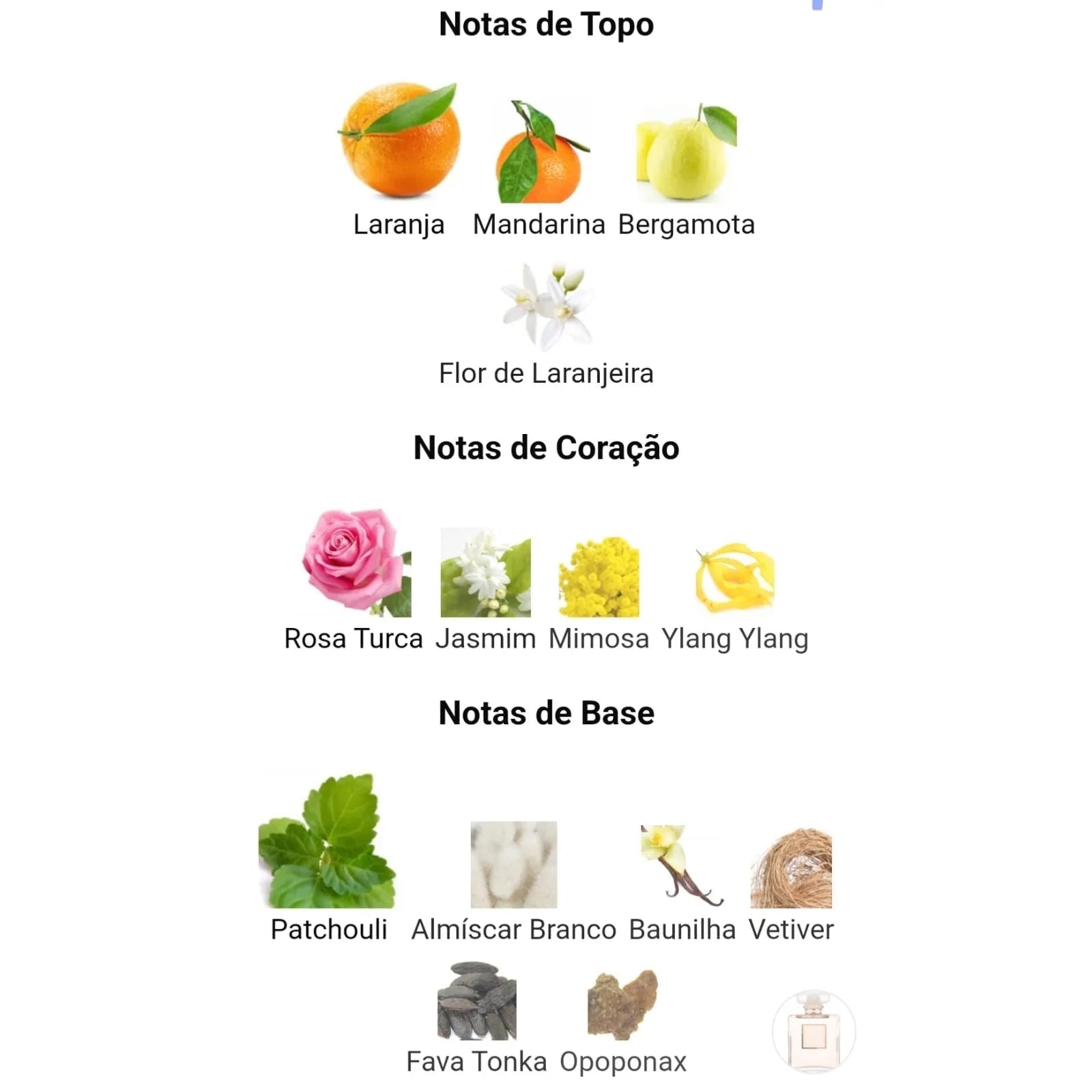 [DECANT] Perfume Árabe Como Moiselle Maison Alhambra Eau de Parfum Feminino - 01 do Brasil