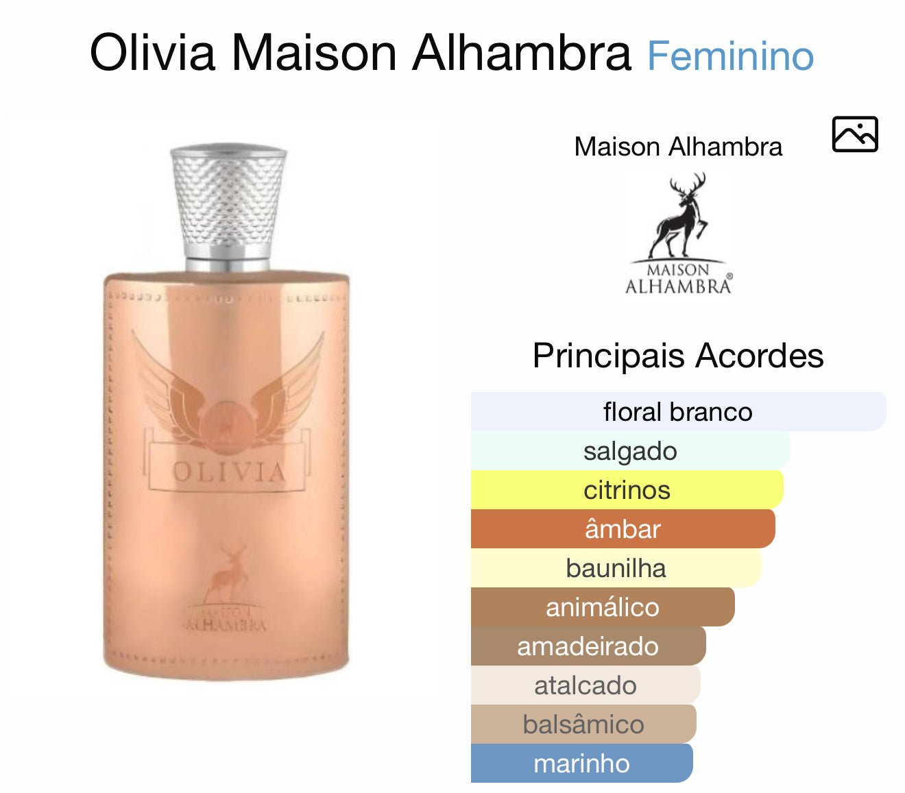 [DECANT] Perfume Árabe Olivia Maison Alhambra - 01 do Brasil